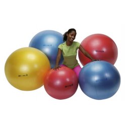 Body Ball 55 cm - GYMNIC